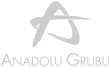 anadolu_logo